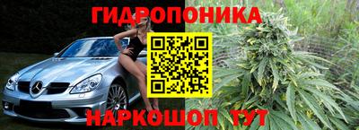 гашик Заволжье
