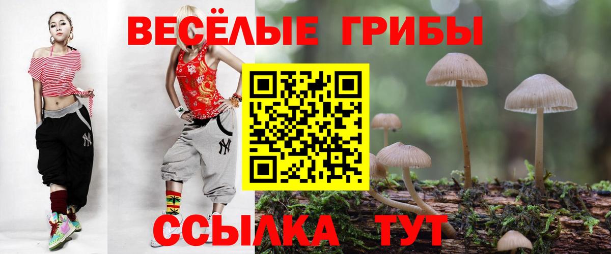 Новокубанск  Псилоцибиновые грибы MAGIC MUSHROOMS  Вход с VPN  Галлюциногенные грибы MAGIC MUSHROOMS 